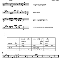 A Chaos with some Kind of Order