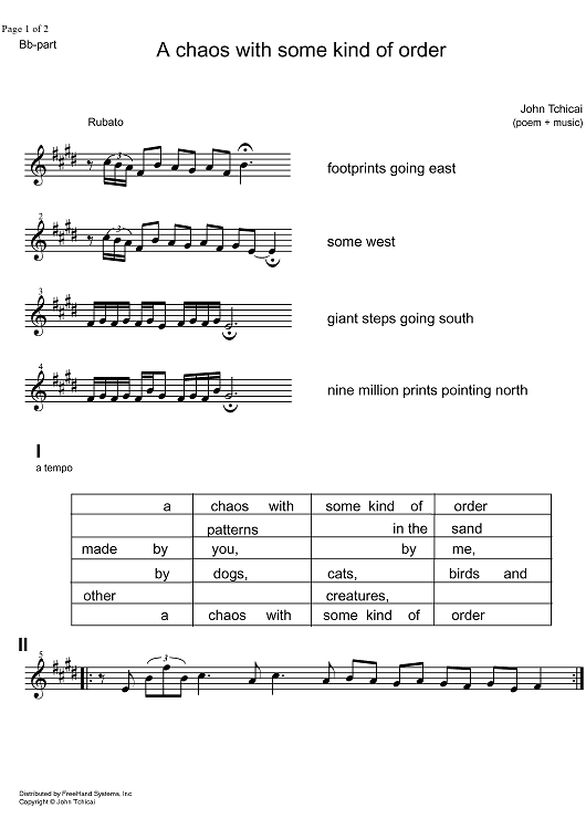 A Chaos with some Kind of Order