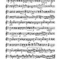 Mandolin & Guitar Collection No. 22 - Banjo Solo