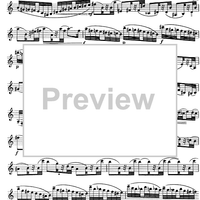 The Accomplished Clarinettist Vol. 1 - Clarinet