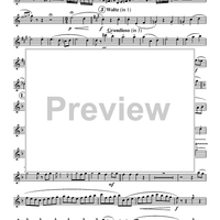 Turkey in the Straw - Oboe