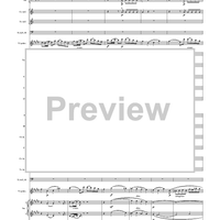Violin Concerto in E Minor, Movement 3 - Full Score