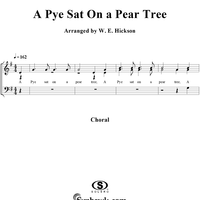 Pye Sat On a Pear Tree, A
