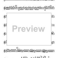 Concerto Grosso in A Minor - Flute