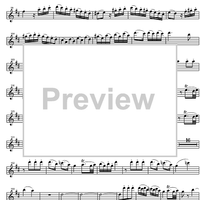 Concerto No. 2 C Major KV314 - Flute