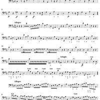 Concerto Grosso No. 7 in D Major, Op. 6, No. 7 - Solo Cello