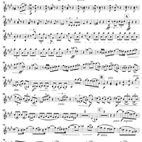 Piano Quartet No. 2 in A Major, Op. 26 - Violin