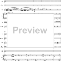 Oboe Concerto in C Major, HobVIIg/C1 Movement 1 - Full Score
