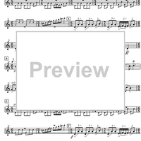 Concertpiece - B-flat Cornet 3