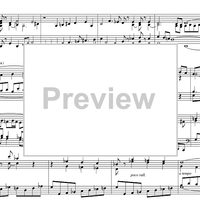 29 Little Preludes Op.51