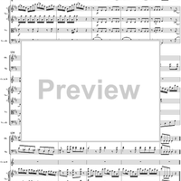 Horn Concerto No. 1 in D Major, K386b (K412 & K514)