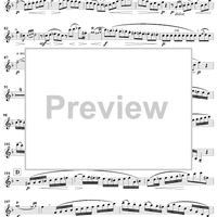 Clarinet Concertino in E-flat Major, Op. 26 - Clarinet