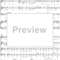 Mass No. 9 (Sancti Bernardi) in B-flat Major, "Heiligmesse": No. 3. Credo