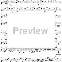 Violin Concerto in E Minor - Violin