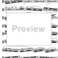 Preliminary studies to 'The Accomplished Clarinettist' Vol. 3 - Clarinet