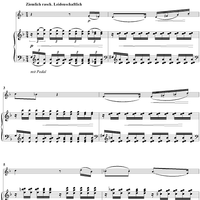 Liederkreis, Op. 39, No. 12, "Frühlingsnacht" (Spring night), - Piano