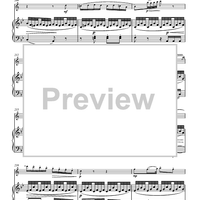 Variations on “Là ci darem la mano”