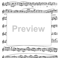 Preliminary studies to 'The Accomplished Clarinettist' Vol. 2 - Clarinet