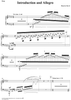 Introduction and Allegro - Harp