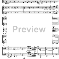 Contrabbasso concertante - Violin 2