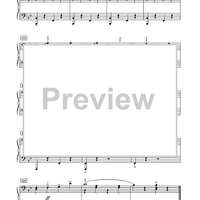 The Stars and Stripes Forever