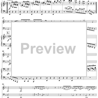 Piano Trio in D Major (HobXV/24) - Piano