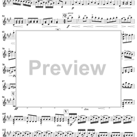 Duet in A Major, K331 - Violin 2