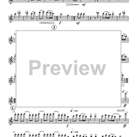 Celebration Dance (The Hashual) - Flute