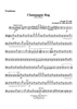 Champagne Rag - Trombone