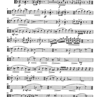 Jarní Hudba - Viola