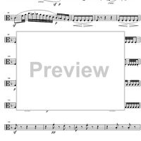 String Quintet C Major Op.29 - Viola 2