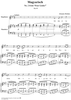 Magyarisch - No. 2 from "Four Lieder" Op. 46