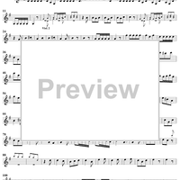 Concerto in G Major - Violin 3