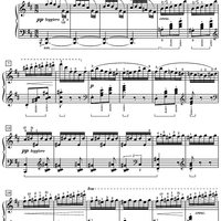 Witches' Dance (Hexentanz), Op. 17, No. 2