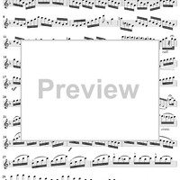 Divertissement sur un Theme de Donizetti    - op. 60 - Flute