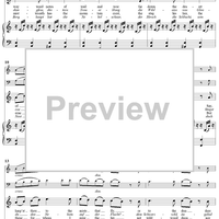 Twenty five Irische Lieder