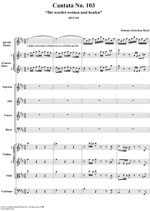 Cantata No. 103: Ihr werdet weinen und heulen, BWV103