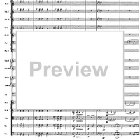 Variazioni su un tema di Prokofiev - Full Score