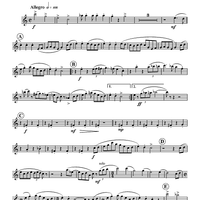 Turkey in the Straw - Oboe