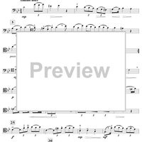 Andante - Double Bass