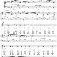 Thirteenth Century Love Lilt, Mo ghille dubh ciar dubh