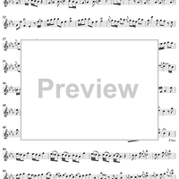 Sonata No. 2 in C Minor - Flute