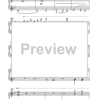 The Stars and Stripes Forever