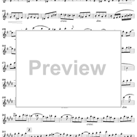 Grand Duo in D Major, Op. 39, No. 1 - Flute 2