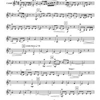 Nautical Variations “Blow, Ye Winds” - Violin 3 (Viola T.C.)