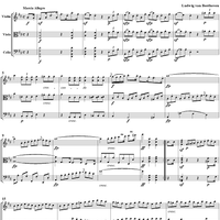 Serenade in D Major, Op. 8 - Score