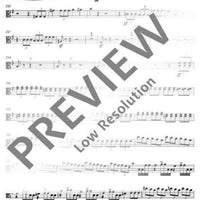 Introduction and Allegro appassionato G major - Viola