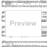 Welche Wonne, Welche Lust from Die Entfürung aus dem Serail KV384
