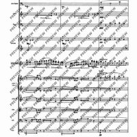 Il Vitalino raddoppiato - Full Score