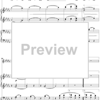 17. Nicht Wandle, Mein Licht